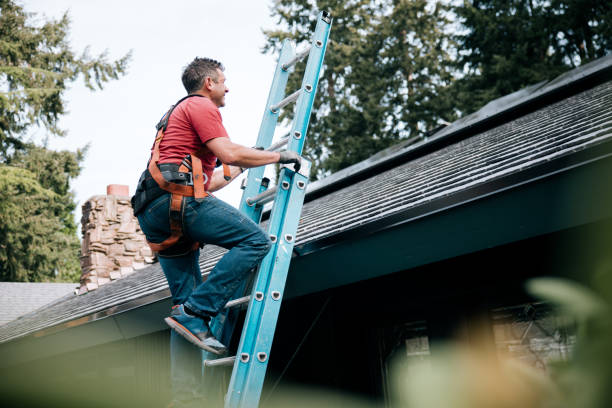 Best Rubber Roofing (EPDM, TPO)  in Mexico, IN